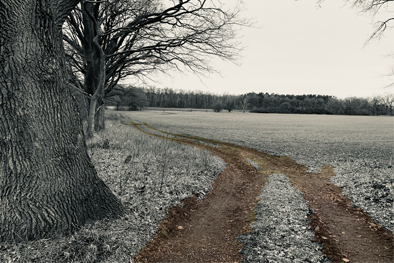 Kapitel 3/12 ist vergangen. Der Weg ist das Ziel. Das gilt besonders für Prozesse!